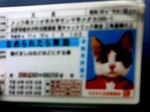又吉.jpg