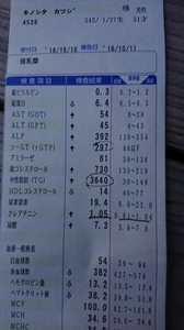 中性脂肪